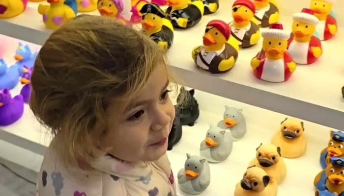 Madeira Duck Store -  Videos - Funchal