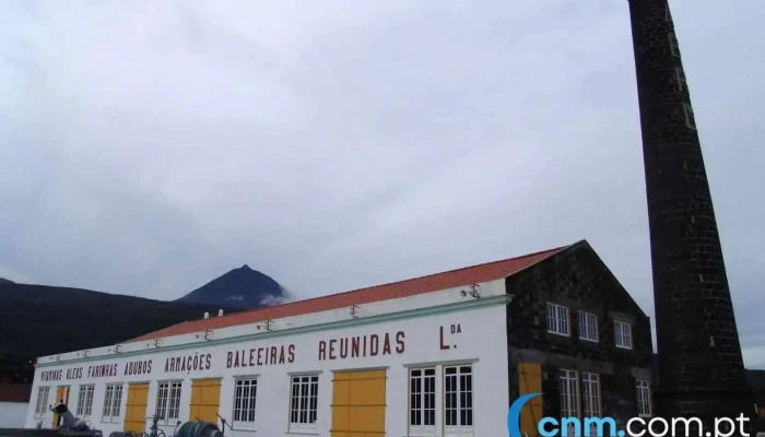Museu da Indústria Baleeira - São Roque Do Pico