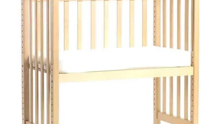 Numu Baby -  Interior - Cruz Quebrada