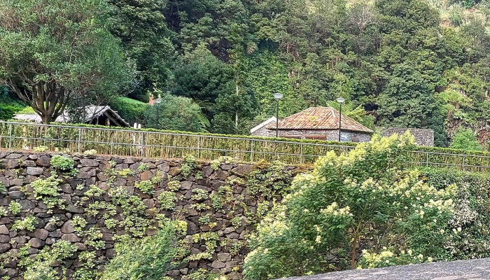 Paladares Felizes -    Meu Super Sao Vicente Pontuacao - São Vicente
