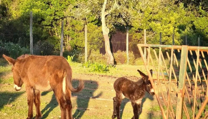 Parque Biologico da Cabeça Gorda - Portugal