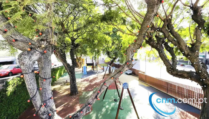 Parque Infantil Da Vila Da Ribeira Brava -  Videos - Ribeira Brava