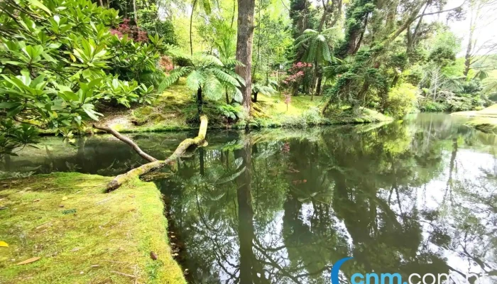 Parque Terra Nostra -  Mais Recentes - Furnas