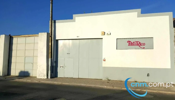 Pato Rico -    Comercio E Exportacao De Artigos De Penas Tudo - Lisboa