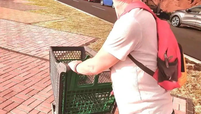 Pingo Doce Super Calheta -  Videos - Estreito Da Calheta