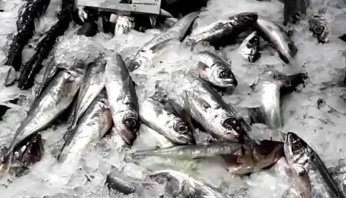 Pingo Doce Super Ribeira Brava -  Videos - Ribeira Brava