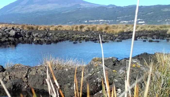 Piscina Natural -  Precos - Lajes Do Pico