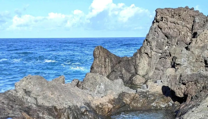 Poca Das Lesmas Videos - Seixal