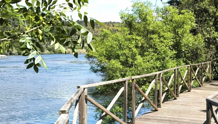 Praia Fluvial Do Alamal -  Promocao - Gavião