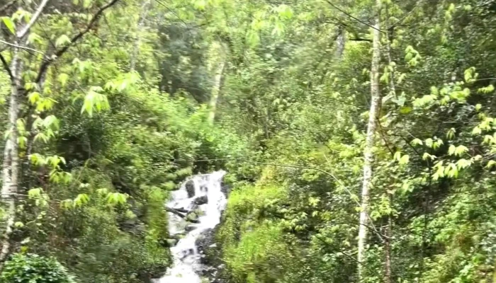 Praia Fluvial Do Alamal -  Reserva Natural - Gavião