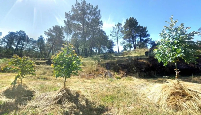 Rio De Mel -  Street View E 360deg - Portugal