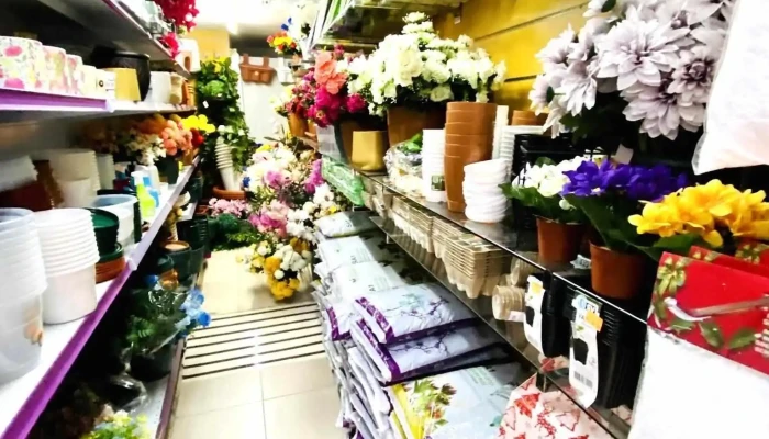 Super Panda -  Interior - Lisboa