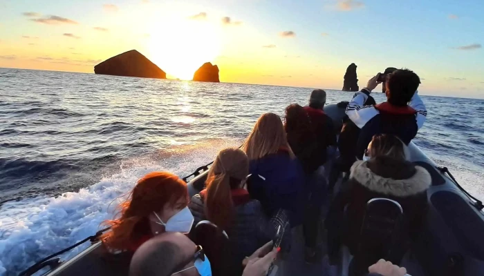 Terra Do Pico Whale Watching In Azores Aberto Agora - Mosteiros