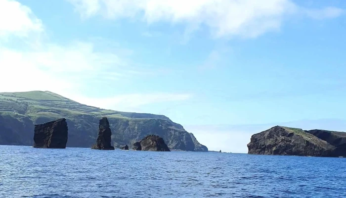 Terra Do Pico Whale Watching In Azores Agencia De Turismo Para Observacao De Baleias - Mosteiros