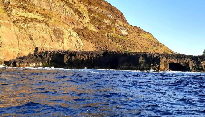 Terra Do Pico Whale Watching In Azores Instagram - Mosteiros