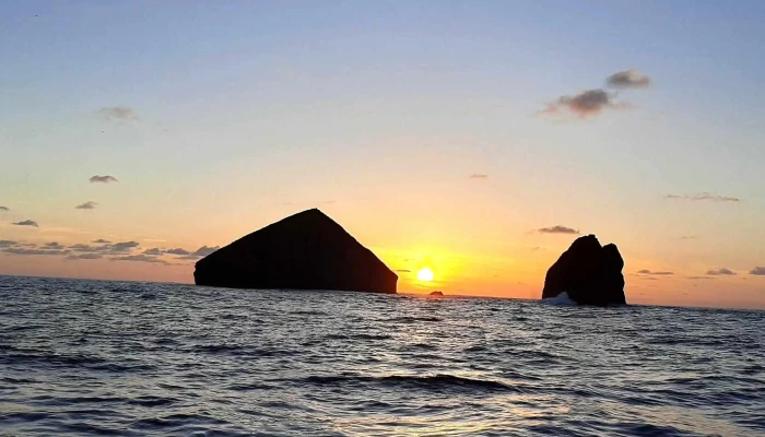 Terra Do Pico Whale Watching In Azores Onde - Mosteiros