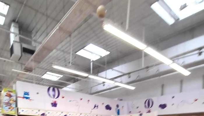 Toys R Us Prenatal Aberto Agora - Alcabideche