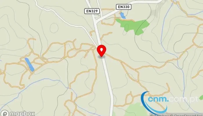 Transportes Fernando O Viegas Lda Mapa - Ribamondego