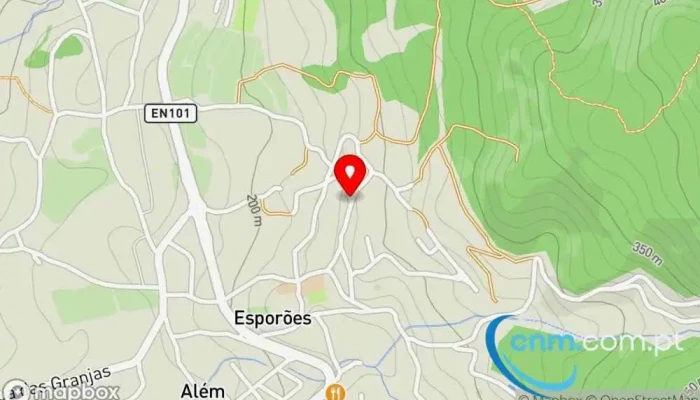 Transportes Irmaos Vieira Lda Mapa - Esporões