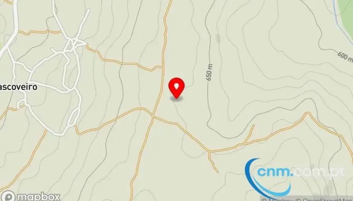 Vascoveiro -  Mapa - Portugal